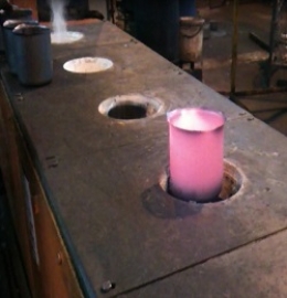 taipan induction-web-11