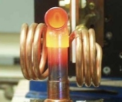 taipan induction-web-14
