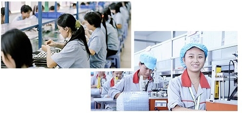 taipan induction-web-2