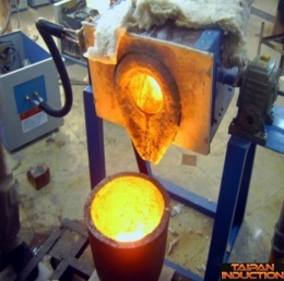 taipan induction-web-9