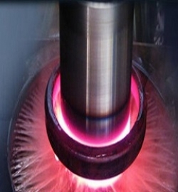 taipan induction-web-10