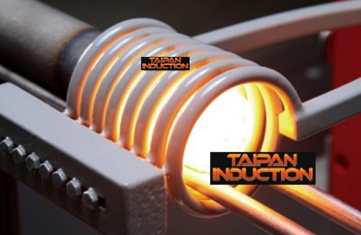 taipan induction-web-4