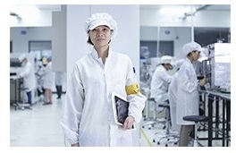 taipan induction-web-3