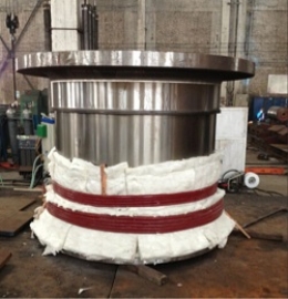 taipan induction-web-12